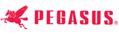 PEGASUS
