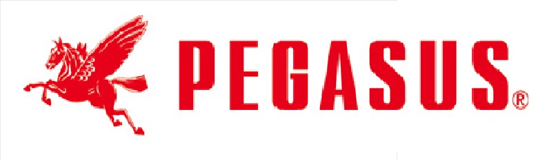 Pegasus