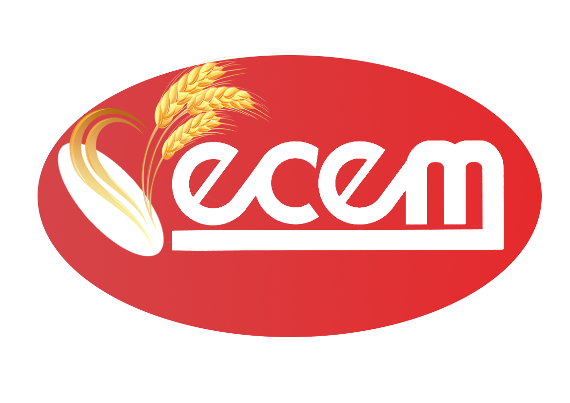 ECEM