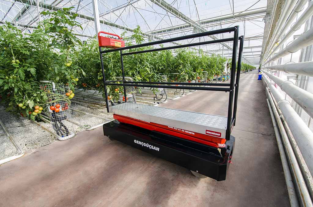 store-img