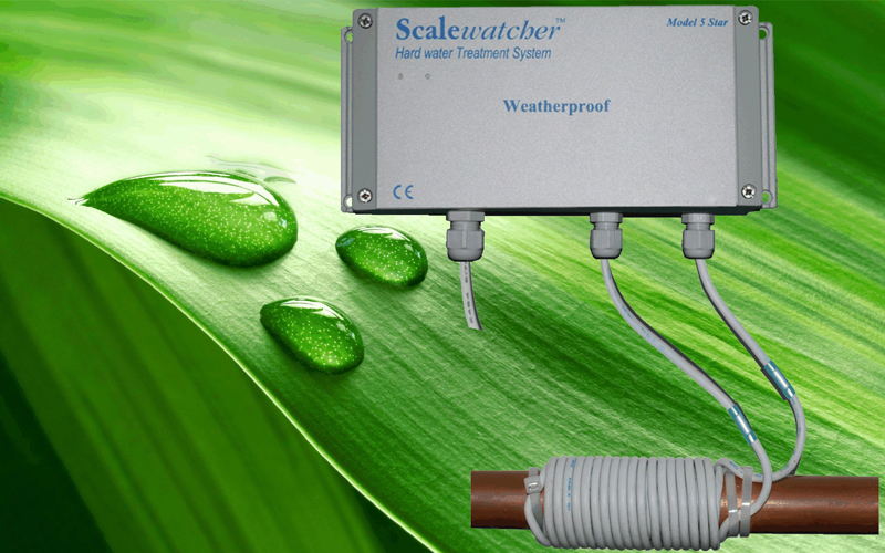 Scalewatcher Arıtma Banner