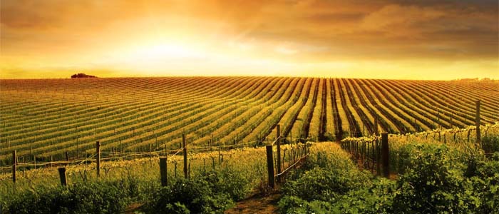 Metsan Tarım Makinaları Slider