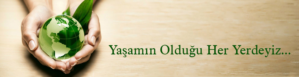 Murat Plastik Slider