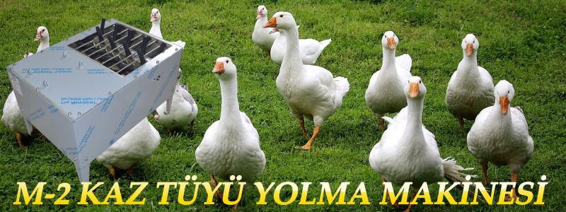 Meltem Makina Yolma ve Soyma Sistemleri resimleri 4 