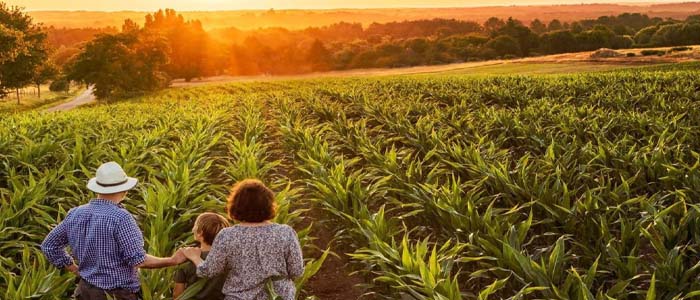 Metsan Tarım Makinaları Slider