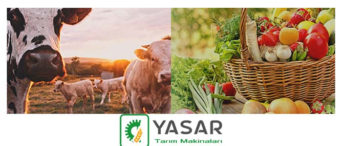Yaşar Tarım Makinaları Slider