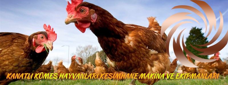 Meltem Makina Yolma ve Soyma Sistemleri resimleri 3 